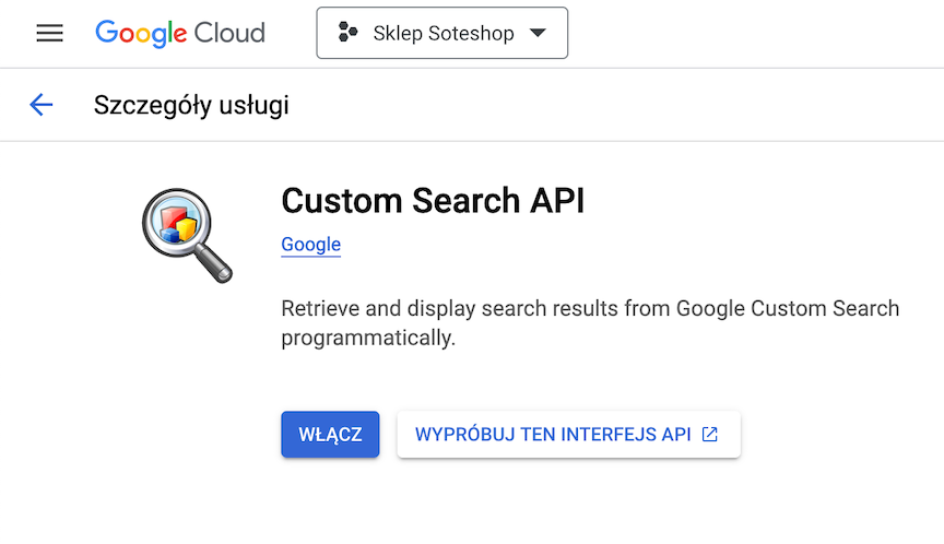Włączenie API wyszukiwarki Google