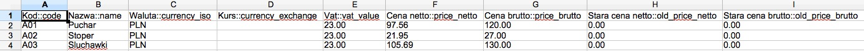 View of the product file after opening in a spreadsheet