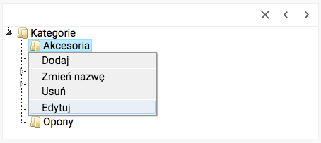 Przechodzenie do edycji kategorii