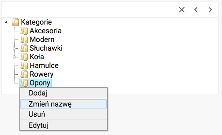 Zmienianie nazwy kategorii