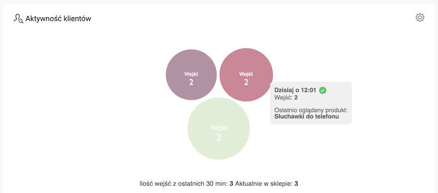 Wygląd widgetu Aktywność klientów