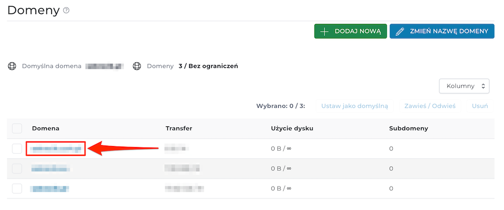 Wybór domeny