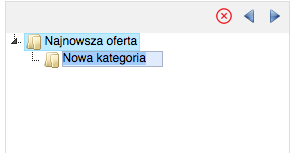 Ustawianie nazwy nowo dodanej kategorii