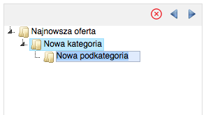 Ustawianie nazwy nowo dodanej kategorii