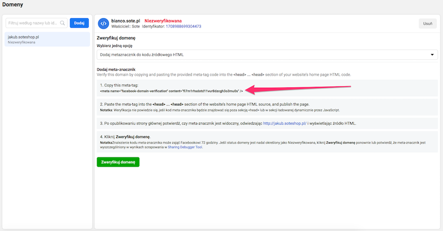 Kopiowanie metatagu weryfikacji