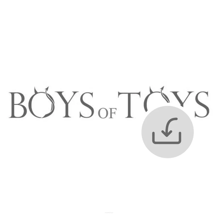 Hurtownia Boys of Toys - integracja sklepu