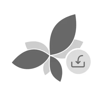 Hurtownia Beauty System - integracja sklepu